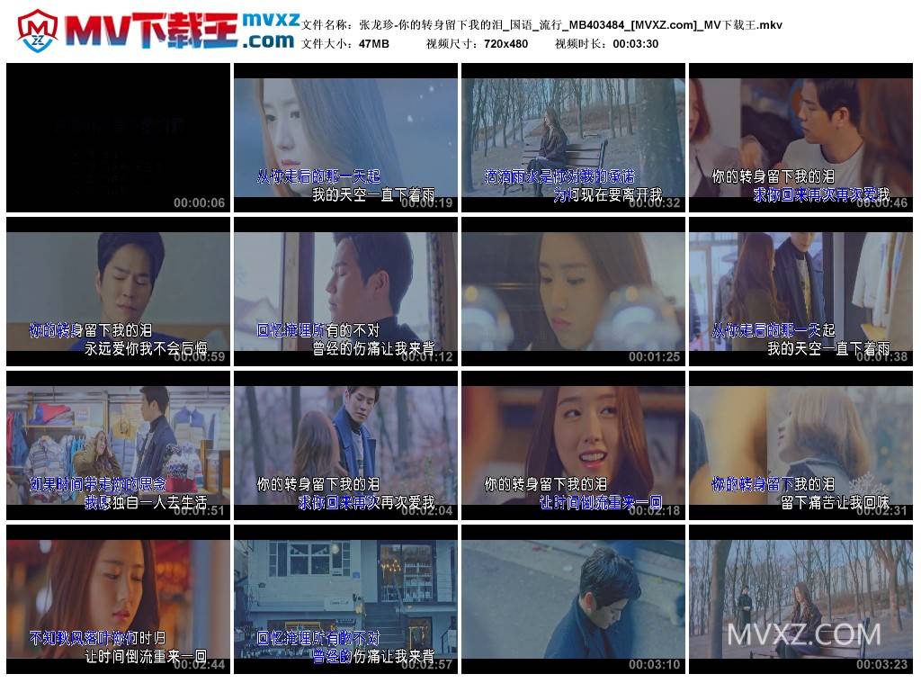 张龙珍-你的转身留下我的泪_国语_流行_MB403484